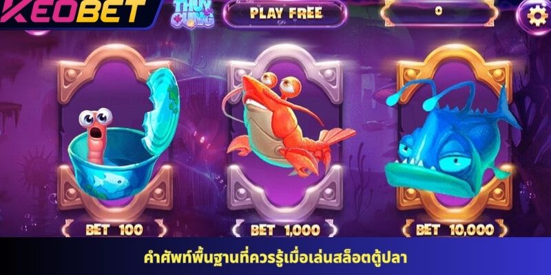 คำศัพท์พื้นฐานที่ควรรู้เมื่อเล่นสล็อตตู้ปลา