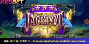 แจ็กพอตตู้ปลา – ประสบการณ์สุดตื่นเต้นกับการดำน้ำล่าหาขวดทองคำ