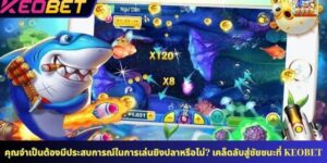 คุณจำเป็นต้องมีประสบการณ์ในการเล่นยิงปลาหรือไม่? เคล็ดลับสู่ชัยชนะที่ KEOBET