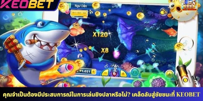 คุณจำเป็นต้องมีประสบการณ์ในการเล่นยิงปลาหรือไม่? เคล็ดลับสู่ชัยชนะที่ KEOBET